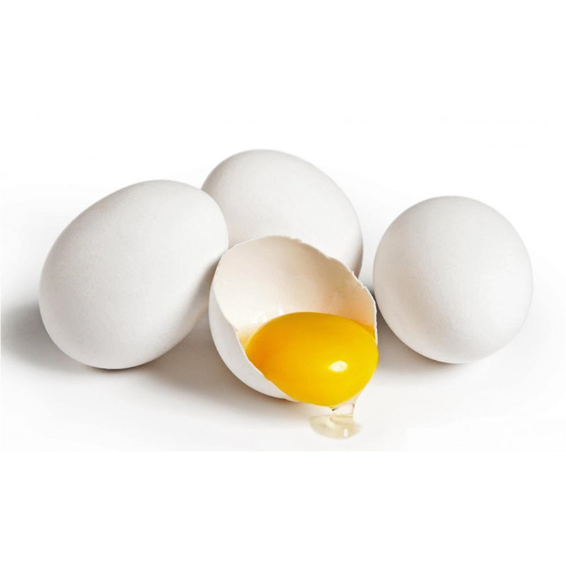 تخم مرغ برای تقویت مغز